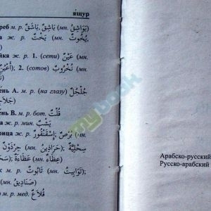 Новый арабско-русский и русско-арабский словарь. 100 000 слов и словосочетаний