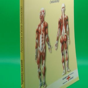 Анатомія м'язів (міологія)